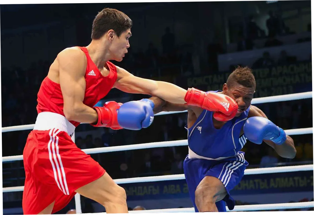 Boxing betting at 1xBet
